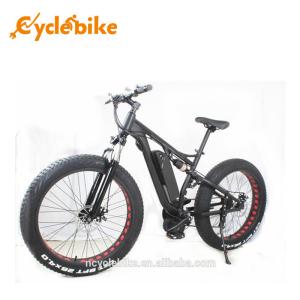 Quality 48 V 1000w Mid Drive Motor Fat Tire Powerful Electric Bike For Ladies , No Foldable wholesale
