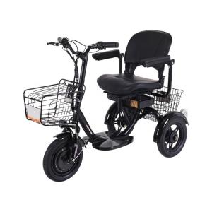 Quality 48V 300W Motor Power 12 Inch Electric Tricycle 3 Wheel Electric Bike for Adult Cargo wholesale