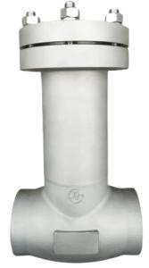 Quality Stainless Steel Cryogenic Insulation Check Valve SW Connection wholesale