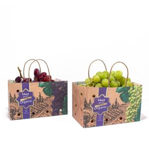 Quality UPACK Fruit Vegetable Paper Bag With Holes 8 Color Flexo Printing wholesale