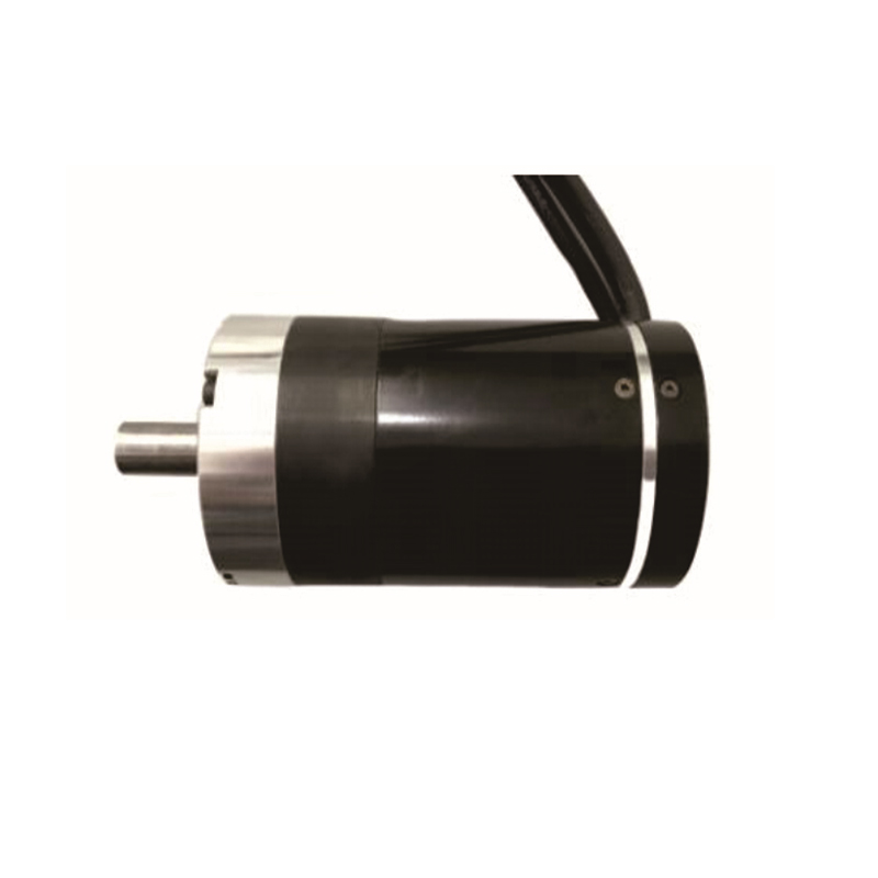 Small DC Servo Motor 59mm Access Small 100w 2000RPM For Channel Gate Pedestrian