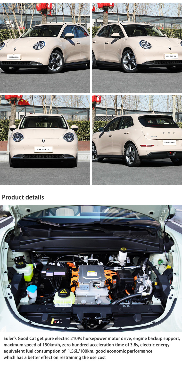 Sedan Mini EV Cars High Speed Small Electric Sedan Ora Cat For Adult