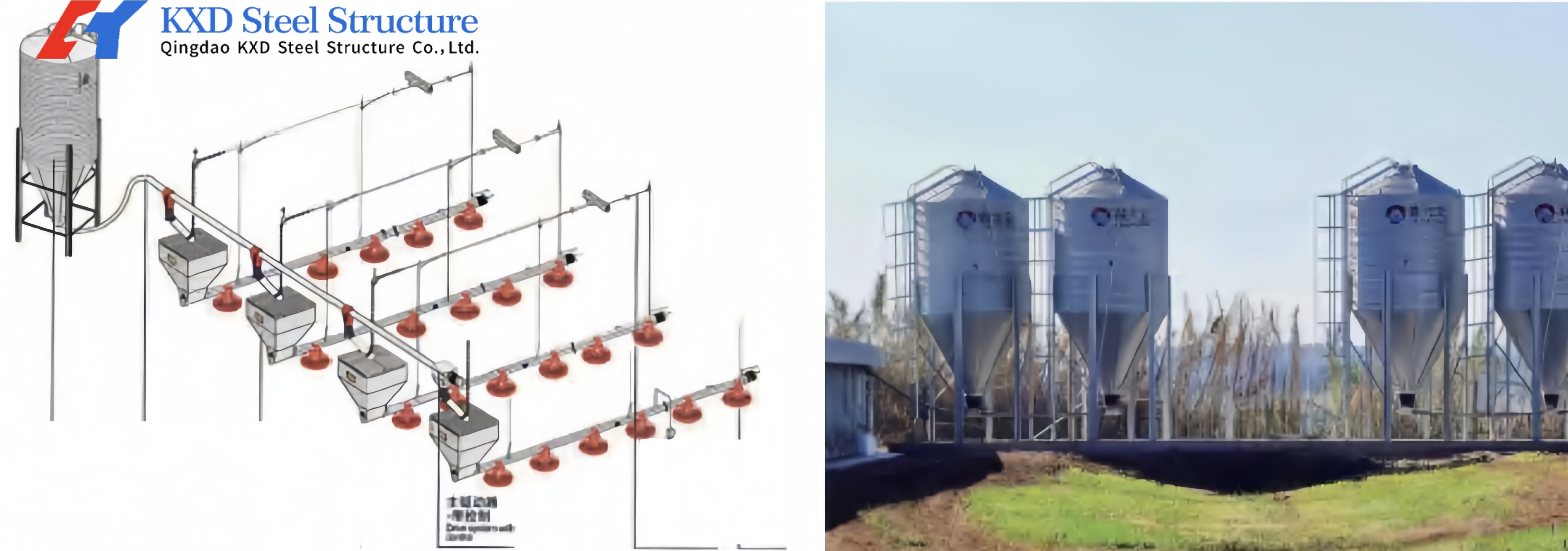 Modern Poultry Farm Chicken Farm Steel Structure Building Light Steel Structure Poultry House