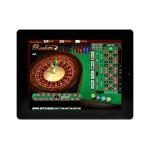 10.4 Inch Lcd Display Low Price Wide Viewing Angle 1000 Brightness Display