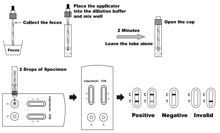 Sensitive Accurate Calprotectin FOB Rapid Test Cassette One Step Disposable