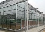 Steel Vegetables Hydroponic Multi Span Glass Greenhouse