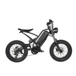 Off-Road Electric Fat Tire Bike Rear Hub Motor 20" Wheel Size for Exciting