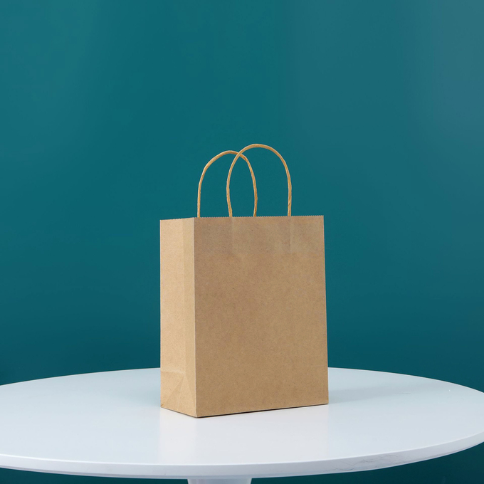 Twisted Handle Custom Printed Kraft Paper Bags 15*21*8cm 21*27*11cm 26*32*12cm