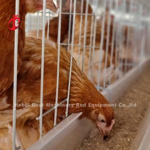 Quality 3-Tier Galvanized Poultry Cage System Mia wholesale
