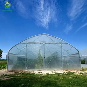 Quality Pipe Framed Poly Tunnel Greenhouse Strong Wind Resistance wholesale