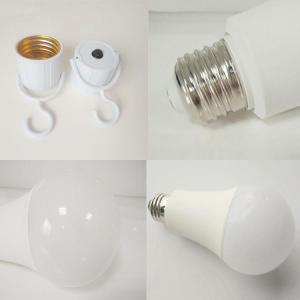 Quality 6V LED Torch Bulb 0-10V or Triac Dimmable 4000k 5000k 5 Years Warranty wholesale