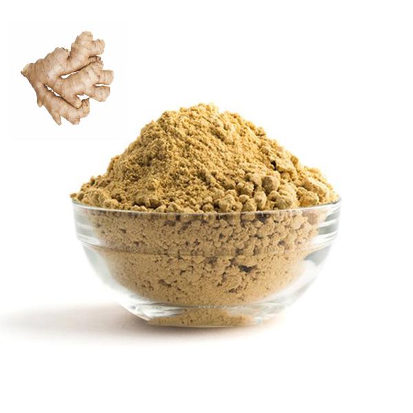 Dehydrated Dried Organic Ginger Root Powder 10% Moisture