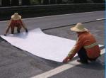 Spunbond Hang Slurry Technology Long Fiber Polyester Mat for Bitumen Waterproof