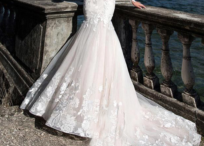 Unique White Long Sleeve Lace Bridal Gowns Perspective Waist Back Long Fishtail