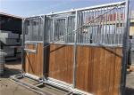 Q235 Hot Dipped Galvanized 8ft Horse Stall Fronts