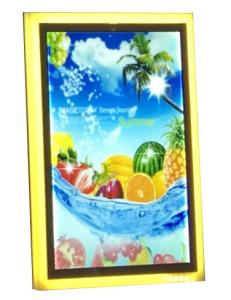 Quality Low Attenuation DC12V LGP A4 10mm Custom Light Box Display wholesale