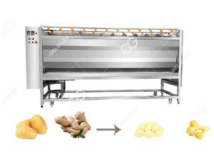 Quality 200-3000kg/T Customizable Commercial Potato Ginger Cleaning And Peeling Machine With Factory Price wholesale