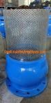 10 inch 10K ductile iron flanged foot valve