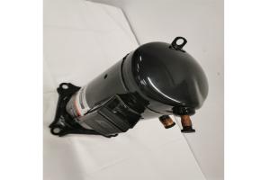 Quality ZF11KQE-TFD-551 1.7Amps 3.6HP Cold Room Refrigeration Compressor wholesale