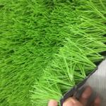 Apple Green 50 Mm Artificial Lawn For Soccer Court Other Sports Cover