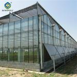 Custom Dutch Venlo Greenhouse Modern Farms Greenhouse With Intelligent Control