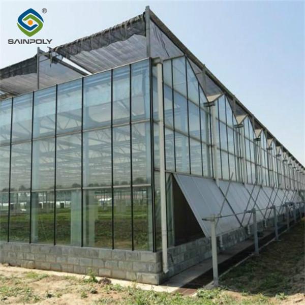 Custom Dutch Venlo Greenhouse Modern Farms Greenhouse With Intelligent Control
