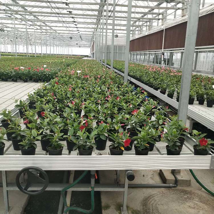 Aluminum Frame Greenhouse Rolling Benches / Ebb And Flood Benches Tidal Nursery