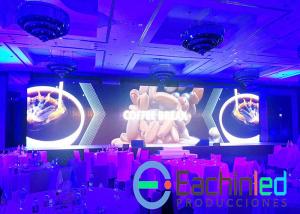 Quality Outdoor 4.8mm Concert Led Screens Rendering Full Color 500mm * 1000mm Cabinet wholesale