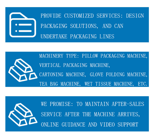 Vertical Cosmetic Cartoning Machine Intact Automatic Carton Packing Machine