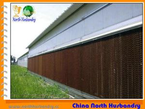 Quality Best Evaporative cooling pad for poultry wholesale