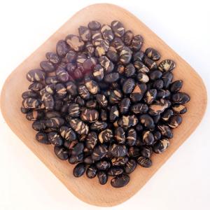 Quality Vegan Full nutrition Roasted Black Beans Salted Flavor Snacks With Halal BRC Certification wholesale