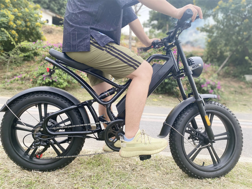 1000W 20 Inch Electric Fat Tire Bike 48V 16Ah Full Suspension Electric Bicycle