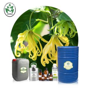 Quality CAS 8006-81-3 Ylang Ylang Essential Oil wholesale