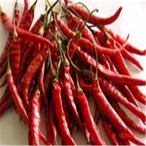Quality Chefs Delight Spicy Dried Birds Eye Chilli wholesale