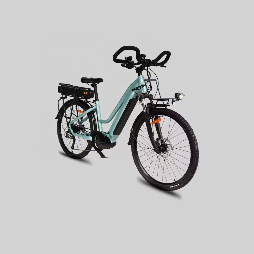 26 Inch Mid Drive Electric Bike 250W Hydraulic Disc Brake Bicycle For Adult