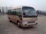 Cummins Engine Coaster Minibus Luxury Passenger Travel Coach Buses Low Fuel