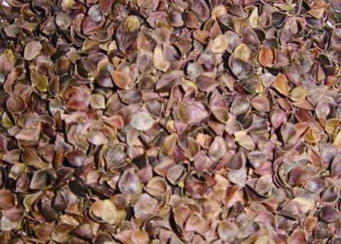 Independent R&D design buckwheat/straw Color Sorter Wheat Sorting Machine
