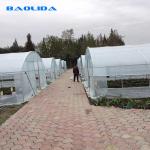 200 Micron PE Film Galvanized Tunnel Plastic Greenhouse For Growing
