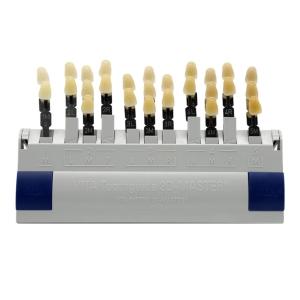 Quality 29 Colors Dental Lab Tools 3 D Resin Teeth Shade Guide Dental Teeth Color Compare wholesale