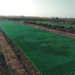 Green Parking and Garden Honeycomb Gravel Grass Paver Manufactured from HDPE