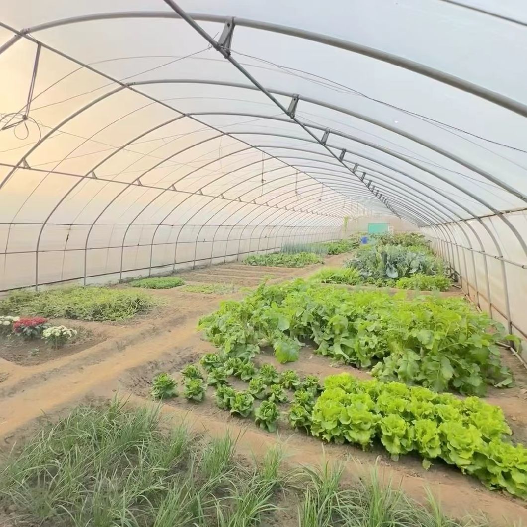 Innovative Drip Irrigation Tunnel Greenhouse Kit
