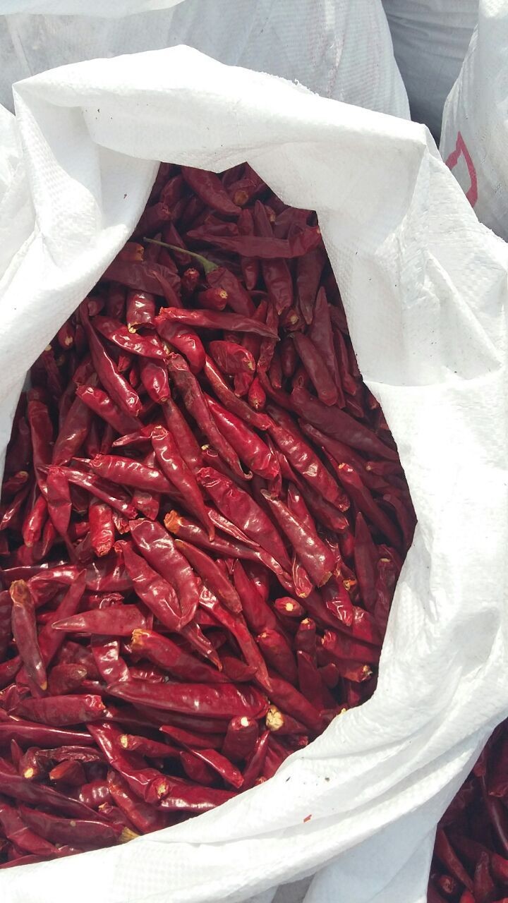 Air Dried Tianjin Red Chilies Block Chinese Dried Chili Peppers 12% Moisture