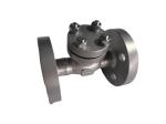CF8 Cryogenic Check Valve