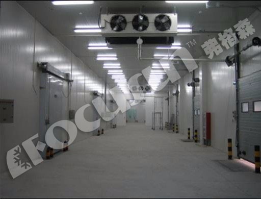 Compressor Refrigeration System Frozen Cold Room for Frozen Product Preservation