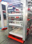 Chicken Automatic Manure Cleaning System Of Poultry House Cage Feeding