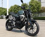 Wet Sump 150cc High Power Electric Motorcycle With Disc Brake