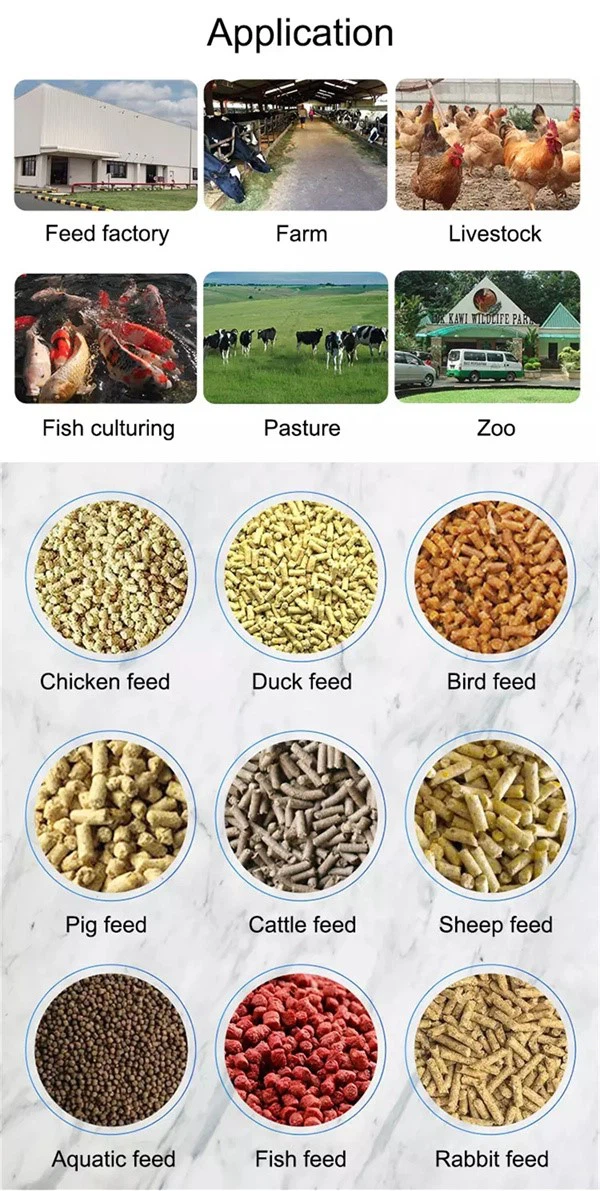 Chicken feed production line