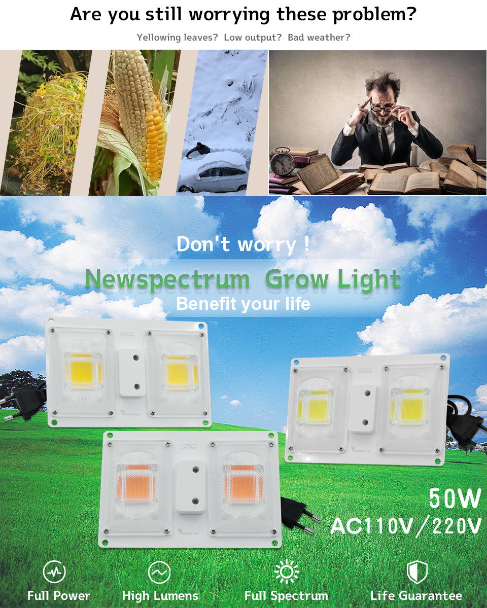 Waterproof Cob Led Chip Moisture Electric Shockproof Led Module 4000k