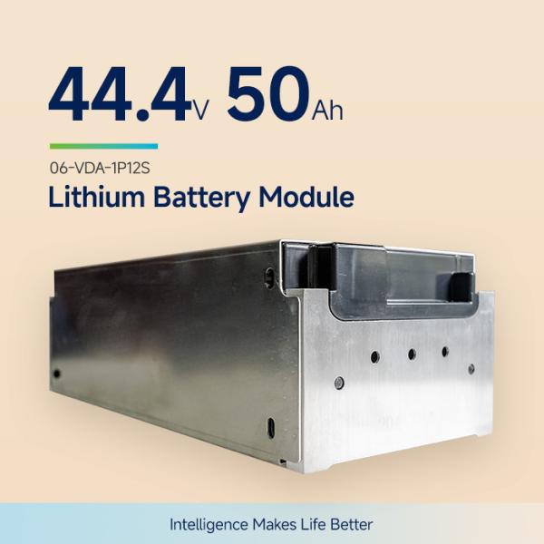 2.2Kwh Standard 44.4V 50Ah VDA NMC Lithium Battery Module For E Truck Electric