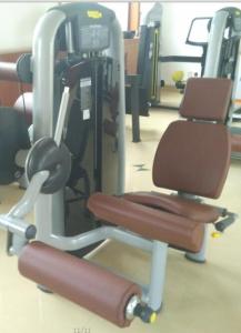Quality Cushions for Gym Equipment wholesale
